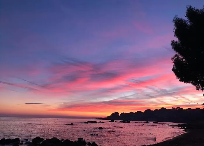 à 100m Magnifique T2 Avec Jardin Privé Saint-Raphaël