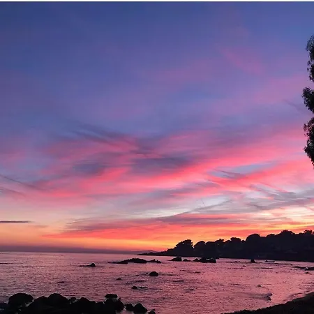A 100m Magnifique T2 Avec Jardin Prive Saint-Raphael (Var)